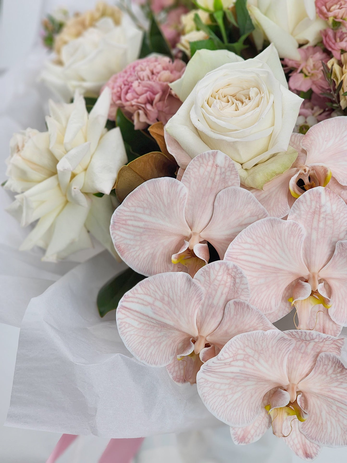 Primadonna Flowers Hansford Flowers