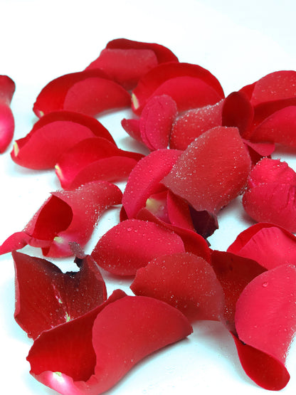 rose petals