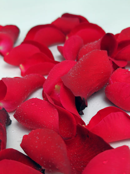 red rose petals