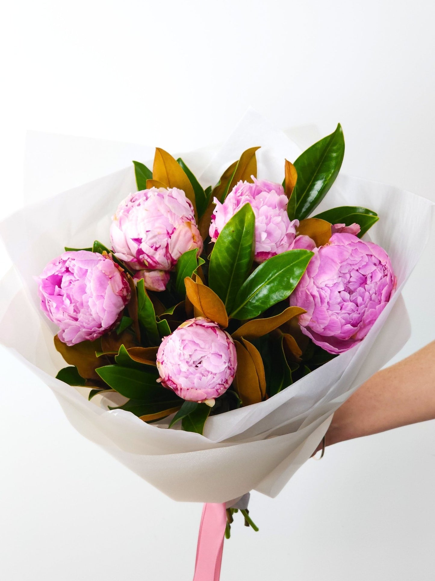 Precious Peonies Flowers Hansford Flowers